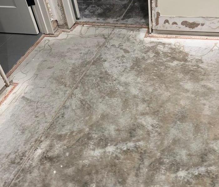 Hallway Carpet Removed