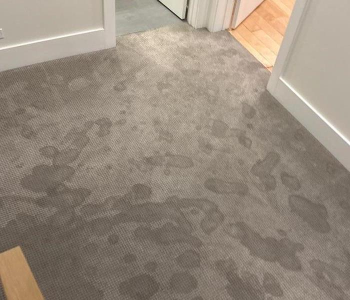 Hallway Carpet Soaked with Water